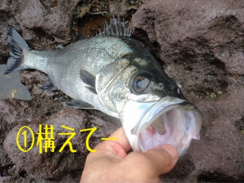 fhgwgwxmmyywabas8ewh_920_690-a2b69f64.jpg
