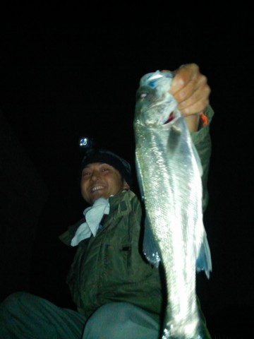 fhiip3aw7zz7p85wfkes_480_480-d5e5e692.jpg