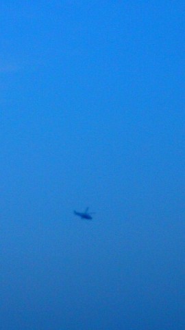 fhrr78m8mpj5jyw54u5t_360_640-a397bfef.jpg