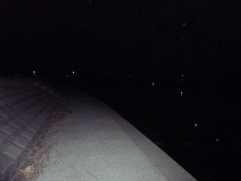 fiehe4y6wxm64h8zxoot_480_480-28f69166.jpg