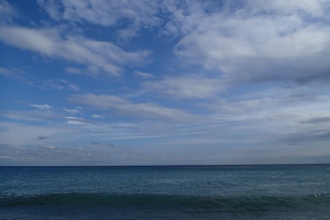 fifvojikximtirtdp8j7_480_480-b0aabe33.jpg