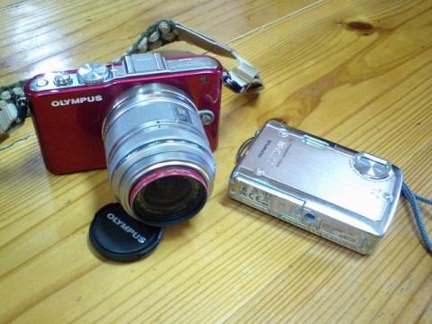 fiodgzosyhy6p8ox7nx8_480_480-831f0ade.jpg