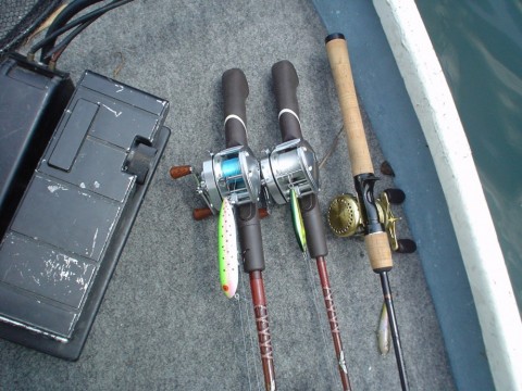 fit5yhgvna7zgxardynb_480_480-a521361a.jpg