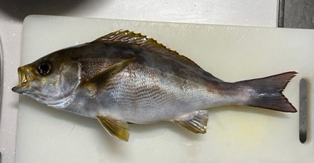 fiurnonvcmuv2wxsjic8_440_229-07082ec1.jpg