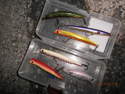 fj85tzedbmxfpag8nxvf_480_480-68cea9f5.jpg