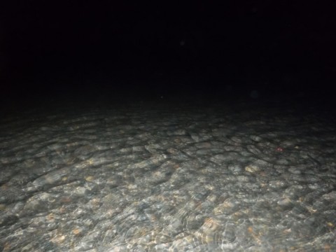 fjhemsaytkvh3943pkj3_480_480-6428aa8b.jpg