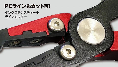 fjo6cgpg3vipaxn2pozv_480_480-9b4be6ec.jpg