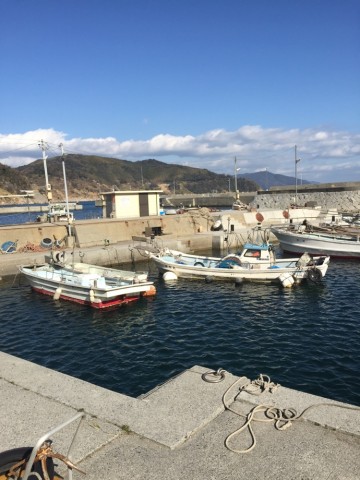 fjrvoxnuneciv5979mmk_690_920-ddea1986.jpg