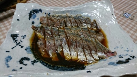 fjsuao2sp9boecsazsf5_920_518-4b0b8b71.jpg