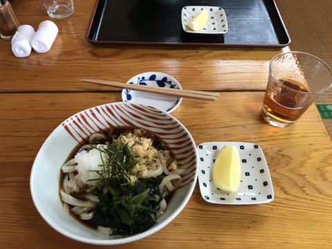 fk7c3xk22tbyr2jp6vx6_480_480-7b03210c.jpg
