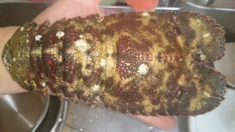 fkarynij7jyitaa9akaj_920_518-cacab035.jpg