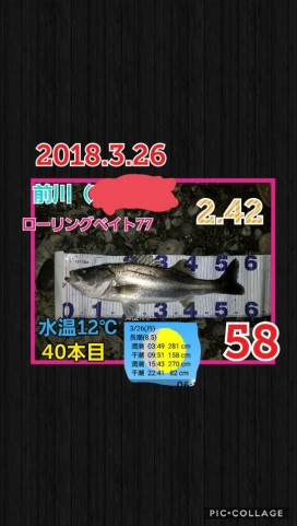 fkrj8nyf2c2wthxwn5pf_480_480-d986be69.jpg