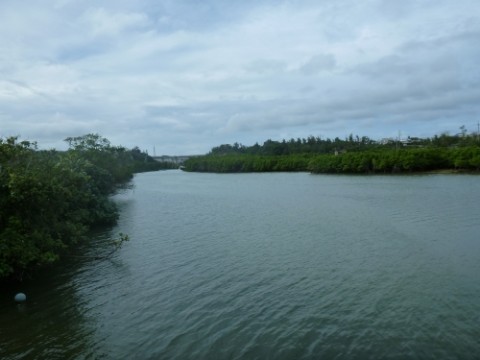 fkx9bxmhwfgv8hjrgfch_480_480-5201cca1.jpg