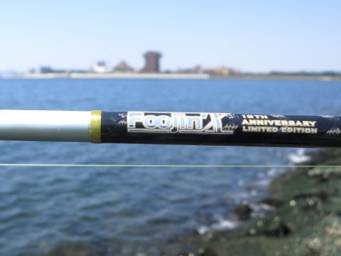 fm2e8ri8c6z2ornx43dx_480_480-67250748.jpg