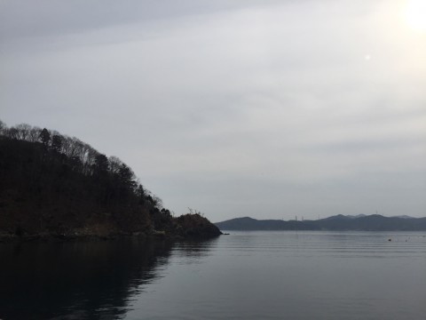fm334rt5sd3kcjjjidit_920_690-f8a8452c.jpg