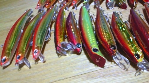fm65ihc4873zktkz4kty_480_480-c2e00abe.jpg