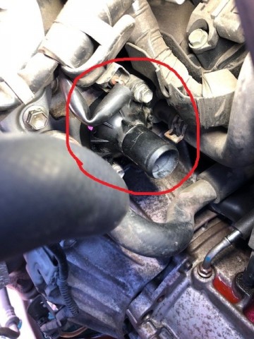 fm838m5vgzw434k7hiep_480_480-548545f6.jpg