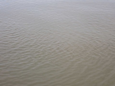 fmfky4ugy4k5656no845_480_480-7fbb8aba.jpg