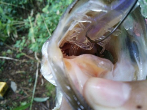 fmfx4xvcwsompeuw4pws_920_690-4d14d3db.jpg