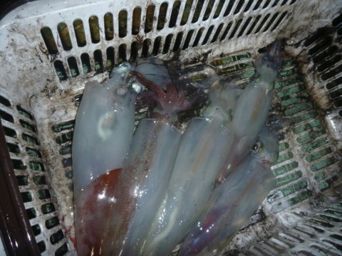 fn72zo96uhivno6pimd6_920_690-28f53aa7.jpg