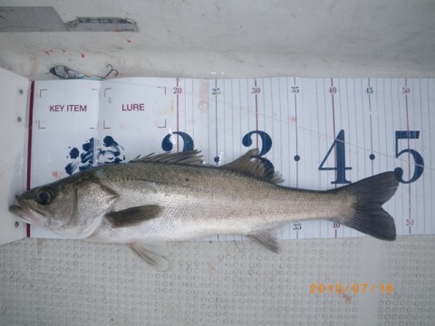 fn84pwdiiv6tztx889mw_480_480-25b600cc.jpg