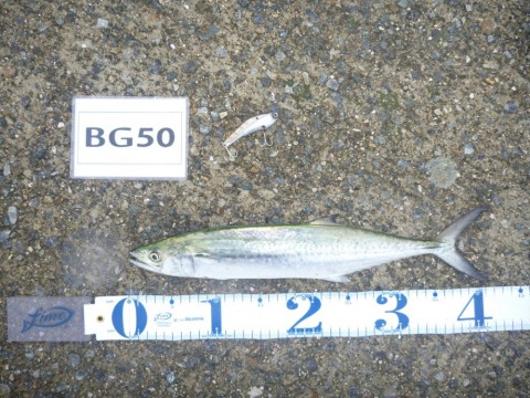 fn85b2pns32ej2mxnte8_920_690-b3d99ca6.jpg