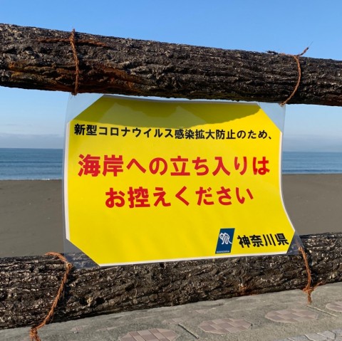fn9ocawp7gnuxgsebf8t_480_480-a7d0cf5e.jpg