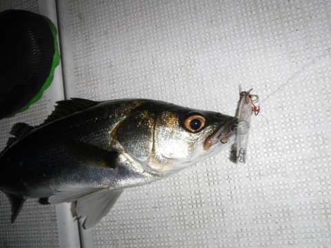 fndufe2i76otm3jrnp99_920_690-049beed8.jpg