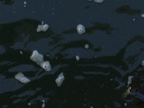 fngn4a8okznpe2wn22u8_920_690-6072f4de.jpg