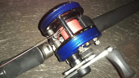 fnm3pievn5auu5fy3kdm_480_480-0c749fec.jpg