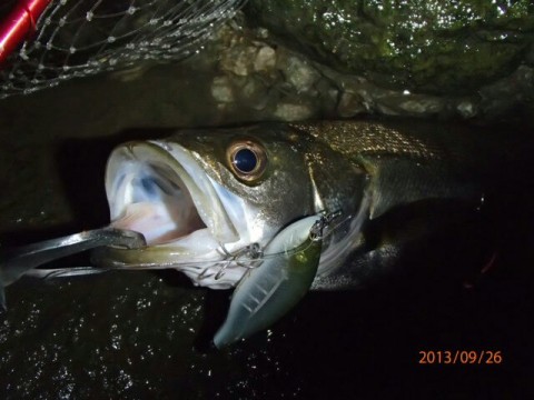 fnyeaowg3sodwdussh55_640_480-833d1fa9.jpg