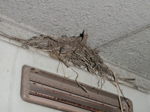 foN67UvbO82agguDVUjU_320_240-1e03cc09.jpg