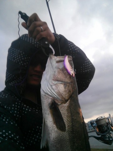 fob7v7bp2bvfzws29cw5_690_920-160332e1.jpg