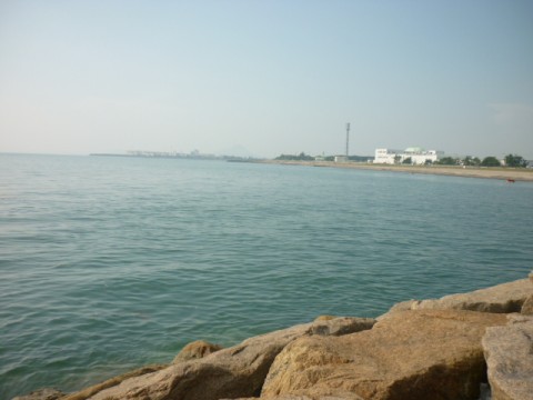 fobxamw2p4wd2ux5dyo6_480_480-3ecaf9c0.jpg