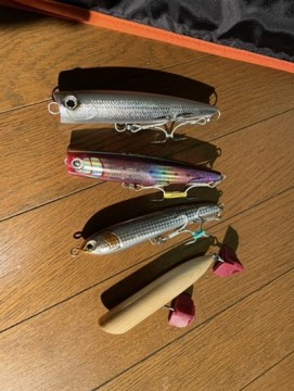 foc5ipty9fdsnnv4w5n7_361_480-c10fa6b0.jpg