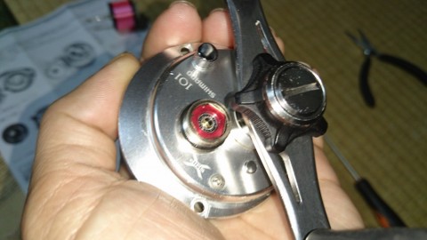 fohcxika25b8nvcg3pza_480_480-e1f63cca.jpg