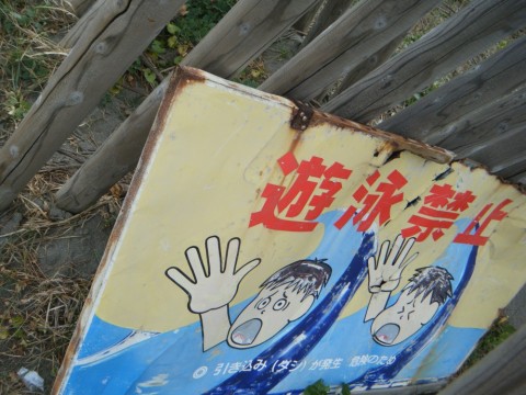 fohudr86e45399xwp8wc_480_480-e9ab2e1b.jpg