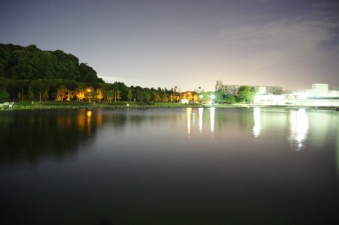 fojgznm2mwx5yyd5ryxe_480_480-f52cbaca.jpg