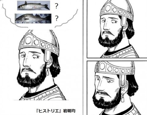 fojpwhb3xcja9dwwzn6u_480_480-4c0d1ae7.jpg