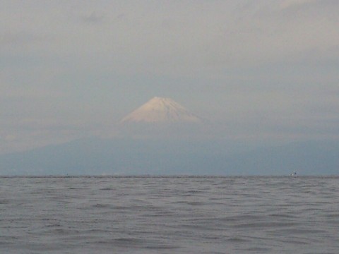 fombw6srsotbyj38tzb7_920_690-d3eee204.jpg