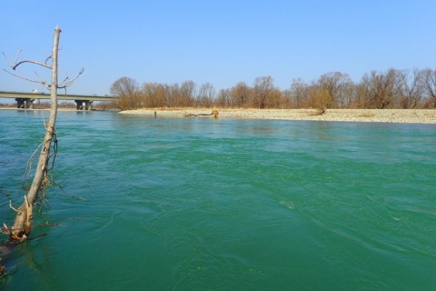 fov2okd97uncd5amcev2_480_480-aa95a59e.jpg
