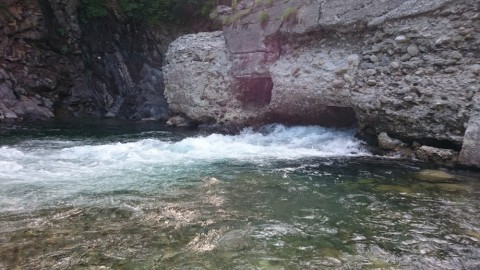 fowo8cibhrariyumznvj_480_480-d957856f.jpg