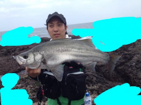 fp7m76pch7pube5x4cwx_480_480-202d0ef9.jpg