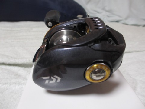 fp8cgazg3533x7kwi4fz_480_480-63965746.jpg