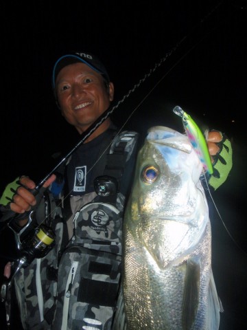 fp9bo9px85rn8hrmucoj_480_480-6b9a3d96.jpg