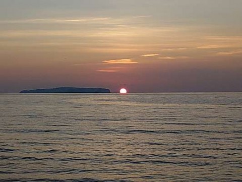 fp9mwrwpti442f44hiaw_480_480-4e9b9f6f.jpg