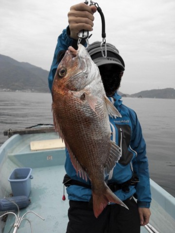 fpczs2izu3fbt2j4gw7c_480_480-6fa9f4a4.jpg