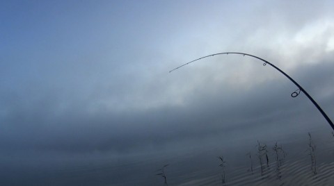 fpfjhnpvig9m9y9ursb2_480_480-de038fa4.jpg