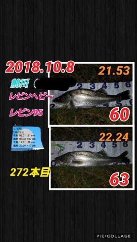 fpjzswwraucy6hd9fkux_480_480-81f44012.jpg
