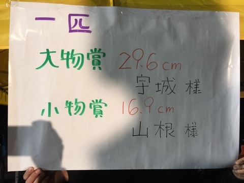 fpkk4gsun5webew3br8a-a6898e2e.jpg